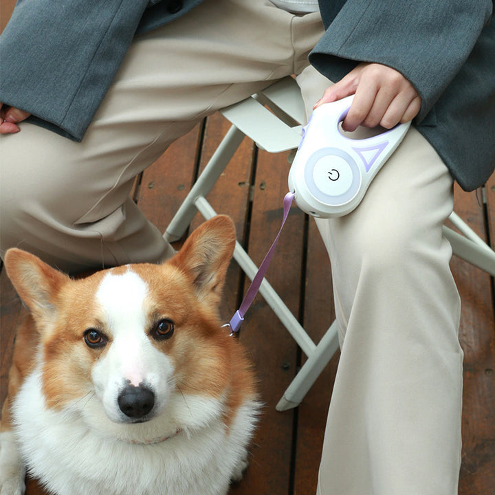 Trela E Coleira de Cachorro Holofotes Automático Trela do cão Retrátil Corda de Tração Animal de Estimação Do Gato Do Cão Para Small Medium Cães Produtos Para Animais de Estimação